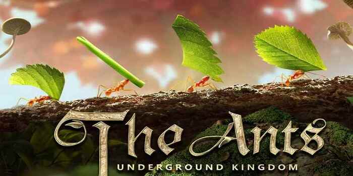 Ants_header